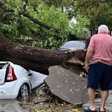 Feroz temporal en Casilda: fuertes lluvias, granizo y árboles caídos