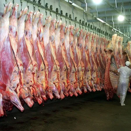 Los frigoríficos exportadores alertaron por despidos y reducción de horas en su personal