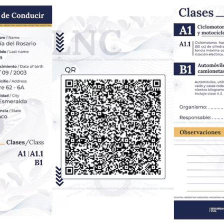 Nueva licencia digital de conducir: Buenos Aires, Córdoba y Mendoza entre las provincias que ya adhieren