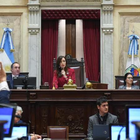 El Senado se prepara para tratar Ficha Limpia