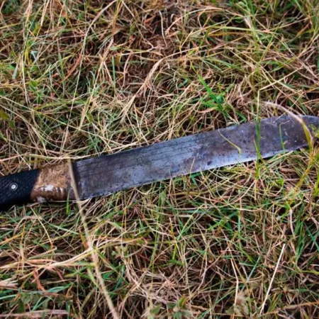 Relato salvaje: su vecino le estacionó el auto en la puerta y le cortó la oreja con un machete