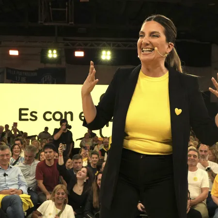 Lospennato: “La idea de la motosierra en la Ciudad no aplica”