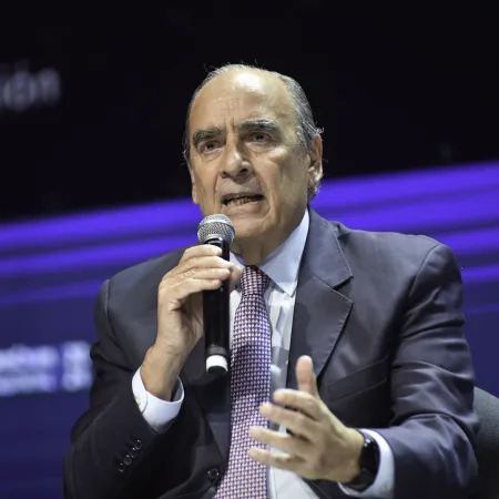 Francos explicó la demora en el anuncio por los "dólares del colchón"