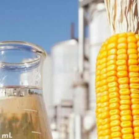 Maíz, energía y dólares: cómo es el biocombustible que Argentina aún no aprovecha