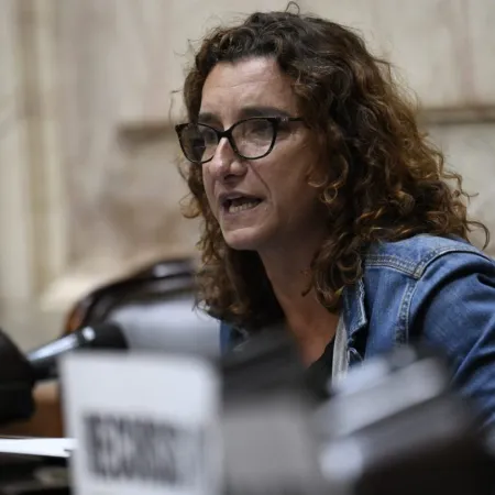 Vanina Biasi: "La única violencia que hay en el Congreso es la que ejerce Bullrich"