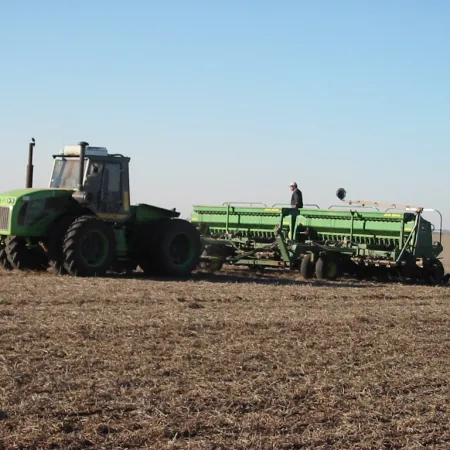Con clima y retenciones a favor, anticiparon siembra de trigo de 6,9 millones de hectáreas