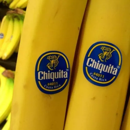 El oscuro legado de Chiquita, United Fruit y Estados Unidos en América Latina