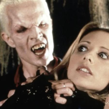 Buffy la cazavampiros: Sarah Michelle Gellar encontró su coprotagonista