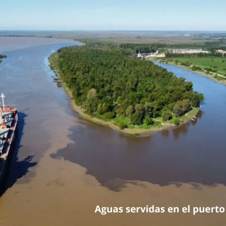Grave advertencia por la contaminación en el Río de la Plata