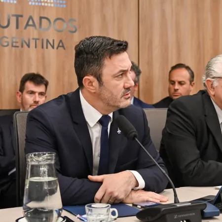 Petri en el Congreso: "Compraban salmón y whisky, y tenían hambreados a los soldados argentinos"