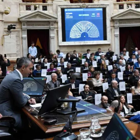 Se aprobó en Diputados la Ley de Emergencia en Discapacidad