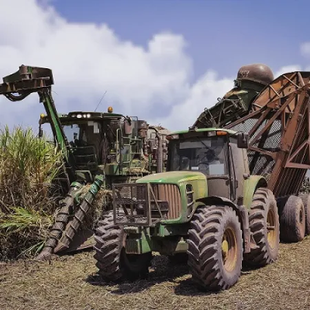 Del azúcar al motor: el NOA presiona por una nueva ley de biocombustibles