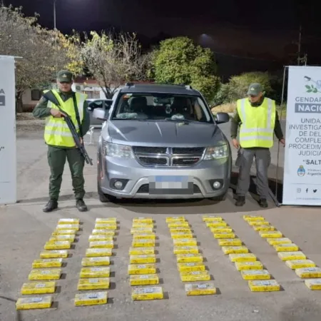 De Santa Cruz a La Quiaca: incautaron 97 kilos de cocaína en operativos en Salta y Jujuy