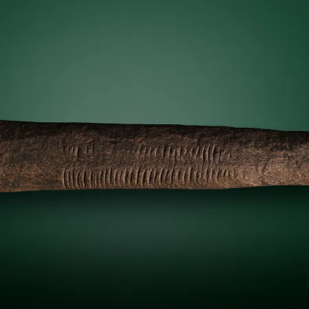 El hueso de Ishango: evidencia matemática de hace 25.000 años en África