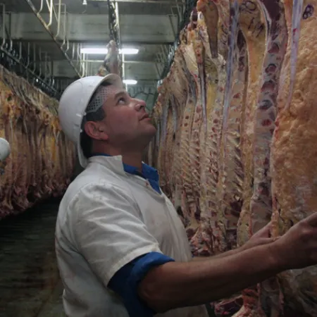 Eliminación de peso mínimo de faena: "No estamos de acuerdo, traerá problemas a futuro"