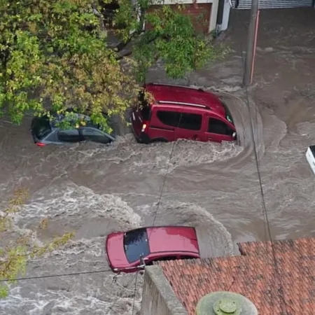 "¡Inadmisible!": la UCR insistirá con la emergencia en Bahía Blanca tras el veto de Milei