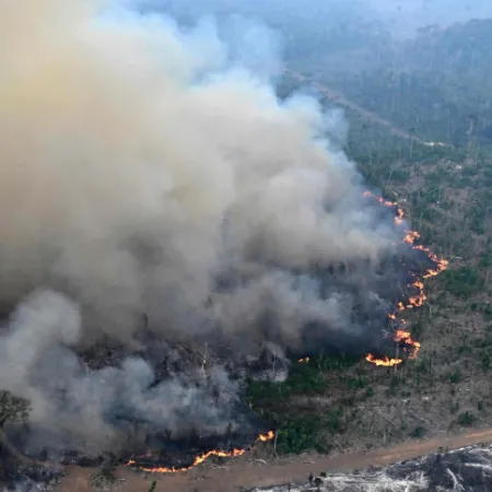Brasil batió récord de incendios forestales en 2024 bajo el gobierno de Lula da Silva
