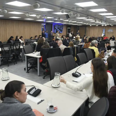 Especialistas participaron del debate por el Defensor de la Niñez