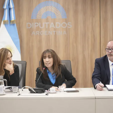 Diputados avanza con la declaración de emergencia sanitaria pediátrica