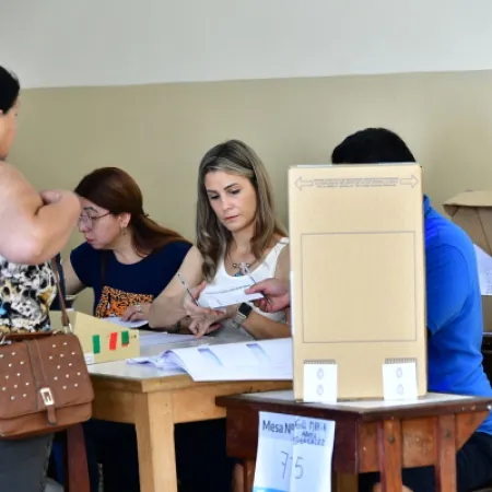 ¿Cómo funciona la Ley de Lemas con la que se eligen representantes en Formosa?
