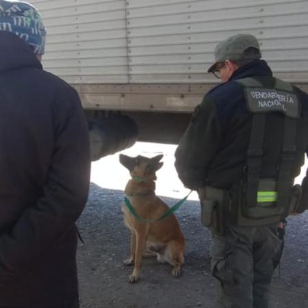 Un perro antinarcóticos descubrió 40 kilos de pasta base en un camión que trasladaba tanques de agua