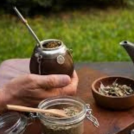 Lanzan en Argentina la primera escuela dedicada al estudio de la yerba mate