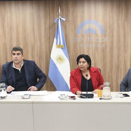 La oposición avanza para nombrar al Defensor del Niño en septiembre