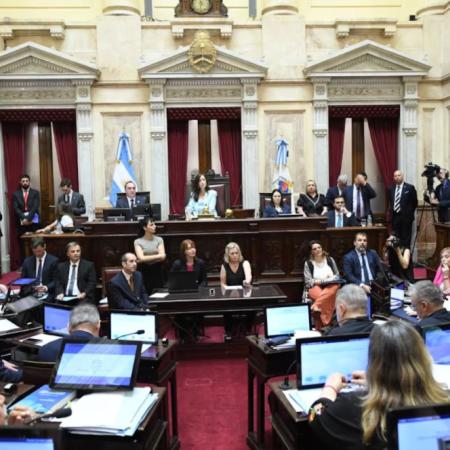 Senadores podrían ceder su suba salarial al Hospital Garrahan