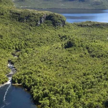 Traiguén: la isla en venta… con comunidad indígena incluida