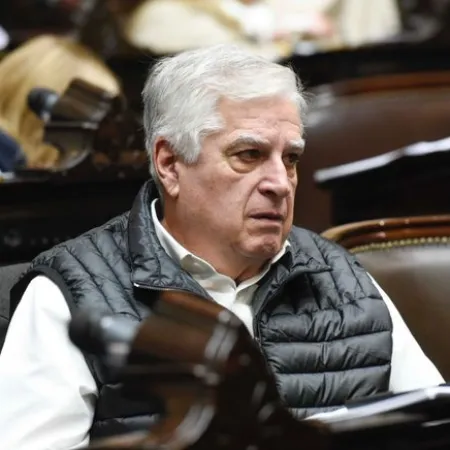 Carlos Gutiérrez: "El oficialismo y Unión por la Patria iban a pudrir la sesión"