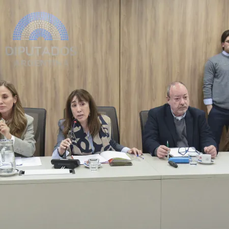 Diputados analizan proyectos sobre salud mental en infancias y adolescencias