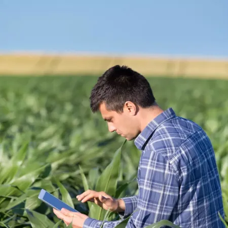Cae la confianza del campo y hay menos intención de invertir, según la Universidad Austral