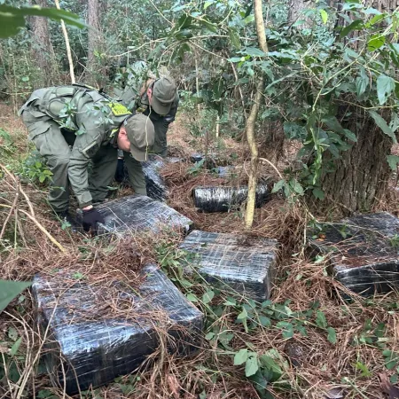 Cómo fue el hallazgo de más de una tonelada de marihuana en el monte misionero