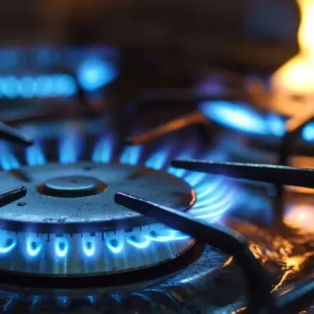 ENARGAS y ENRE se fusionan: el nuevo ente que regulará la energía en Argentina