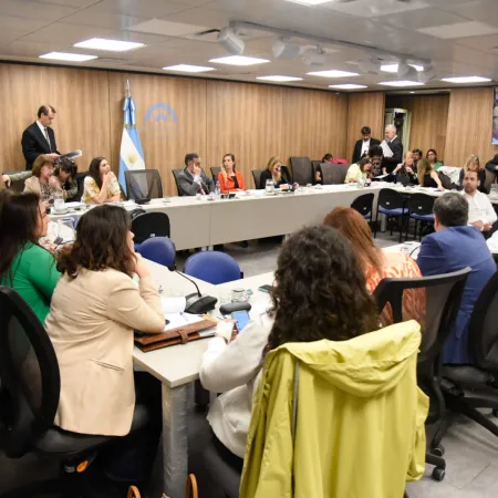 Se reúnen las comisiones de Educación y Presupuesto por el financiamiento universitario