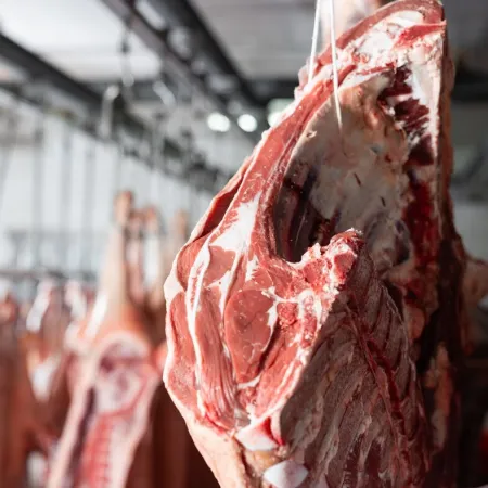 Mala noticia para la Patagonia: Chile suspendió compras de carne vacuna argentina