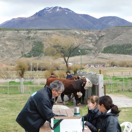 "A los productores patagónicos nos han mentido y despojado"