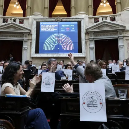 Por unanimidad, el Senado convirtió en ley la declaración de emergencia por discapacidad