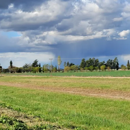Clima: El Niño seguirá neutro y hay alerta por lluvias dispares para el agro argentino