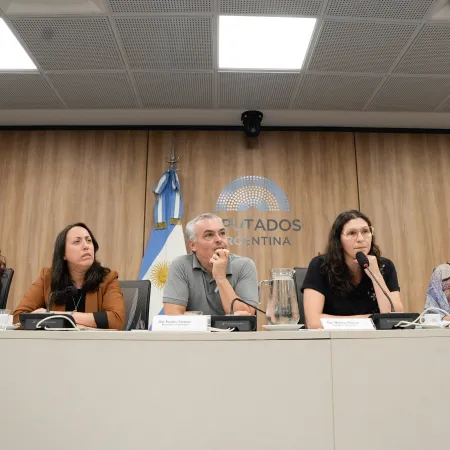Diputados debatirán sobre violencia política y persecución
