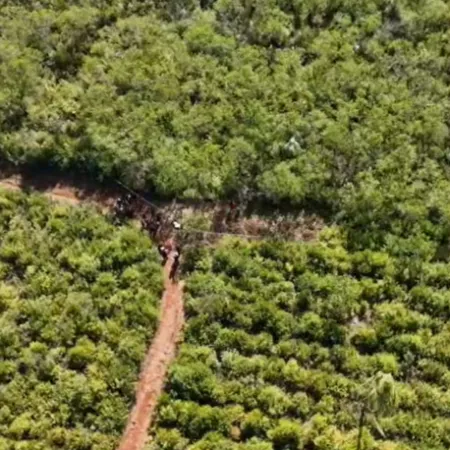 Femicidio en Misiones: hallan restos óseos y ropa que serían de Mirta Marciana Rodríguez