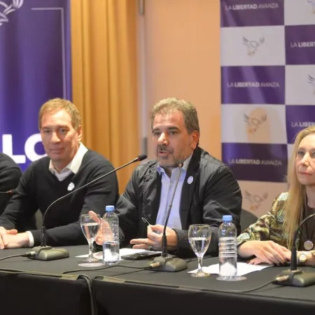 Sección por sección, cómo quedó la Alianza La Libertad Avanza en provincia de Buenos Aires