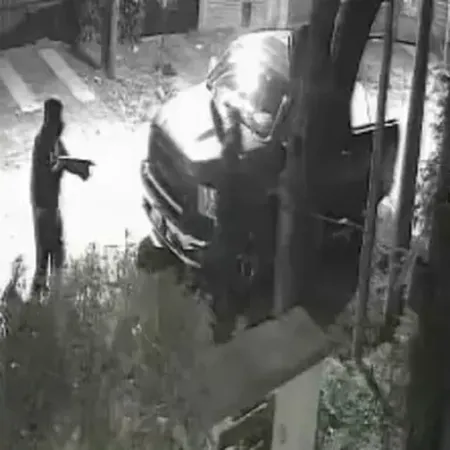 Video: el custodio de L-Gante noqueó a un ladrón que intentó robarle la camioneta