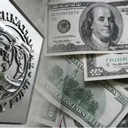 Bajo la lupa del FMI, el Tesoro acelera la compra de dólares