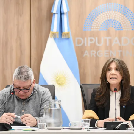 Alerta por el patrimonio cultural: Expertos y diputados reclaman protección urgente