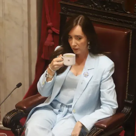 Villarruel desmanteló el Jardín del Senado y encendió la polémica por recorte