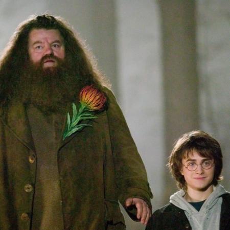 Así se ve el Rubeus Hagrid interpretado por Nick Frost en la serie de Harry Potter