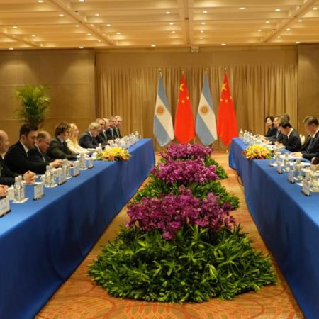 Milei y la nueva política migratoria para chinos y dominicanos: detalles clave