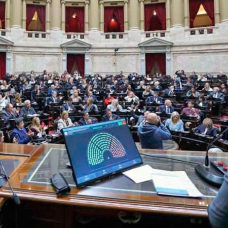 Diputados debatirá vetos a leyes de discapacidad y jubilaciones