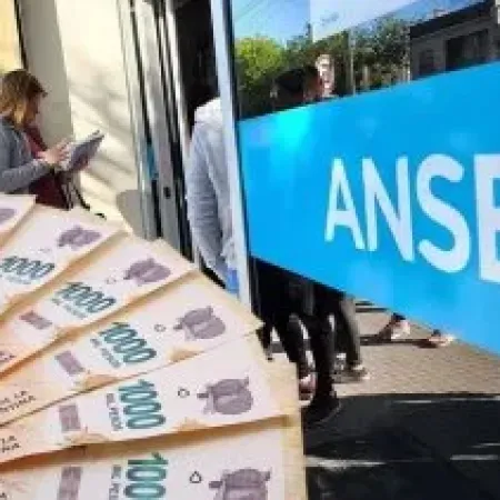 ANSES ¿Cuándo cobro en agosto?: cronograma de pagos